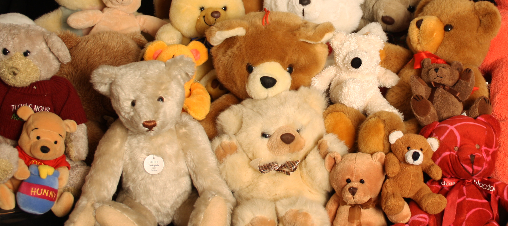teddy collection