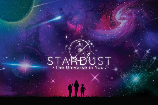 cover image of Stardust: The Universe in You