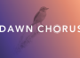 The Dawn Chorus initiative